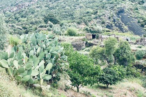 Landejendom i Leni, Messina, Leni - € 510.000 | Ref: 1091 - foto 15