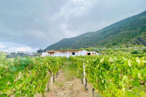 Villa i Leni, Messina, Leni - € 795.000 | Ref: 1092 - foto 34