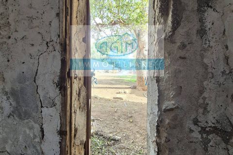 Landejendom i Palermo, Palermo, Palermo - € 175.000 | Ref: 1156 - foto 19