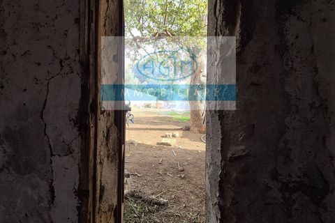 Landejendom i Palermo, Palermo, Palermo - € 175.000 | Ref: 1156 - foto 20
