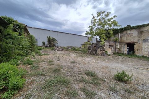 Erhvervsejendom i Palermo, Palermo, Palermo - € 1.350.000 | Ref: 1165 - foto 13