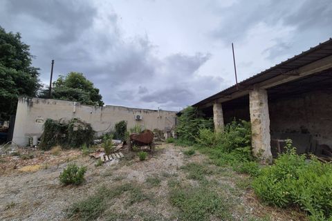 Erhvervsejendom i Palermo, Palermo, Palermo - € 1.350.000 | Ref: 1165 - foto 26
