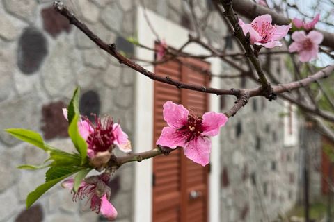 Villa a Lipari, Messina, Lipari - € 1.190.000 | Ref: 1189 - foto 19