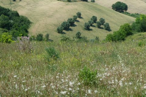 Villa i Monteprandone, Ascoli Piceno, Monteprandone - € 150.000 | Ref: 89 - foto 5