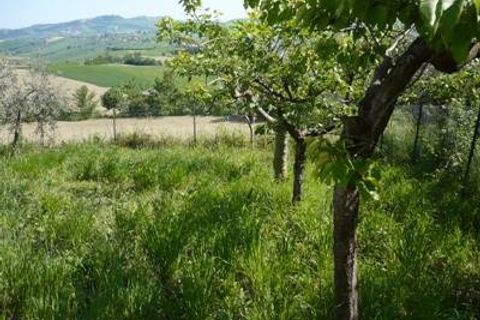 Villa i Bellante, Teramo, Bellante - € 240.000 | Ref: 0480/CS - foto 25