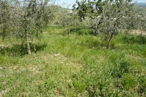 Villa i Bellante, Teramo, Bellante - € 240.000 | Ref: 0480/CS - foto 26