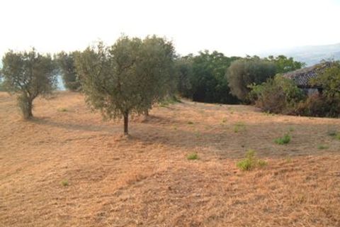 Helårsgrund i Controguerra, Teramo, Controguerra - € 65.000 | Ref: 097/T - foto 4