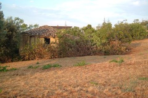Helårsgrund i Controguerra, Teramo, Controguerra - € 65.000 | Ref: 097/T - foto 6