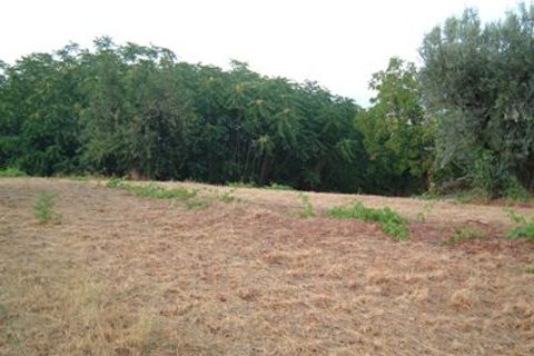 Helårsgrund i Controguerra, Teramo, Controguerra - € 65.000 | Ref: 097/T - foto 8