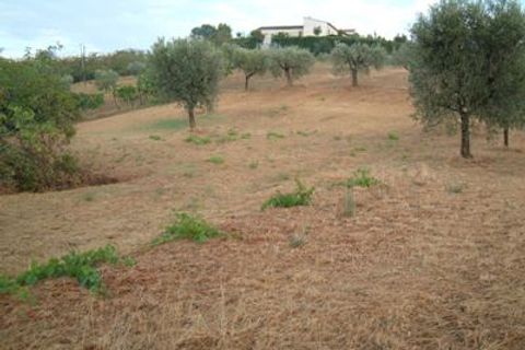 Helårsgrund i Controguerra, Teramo, Controguerra - € 65.000 | Ref: 097/T - foto 9
