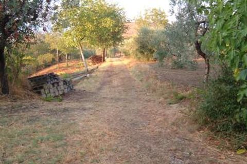 Helårsgrund i Controguerra, Teramo, Controguerra - € 65.000 | Ref: 097/T - foto 10