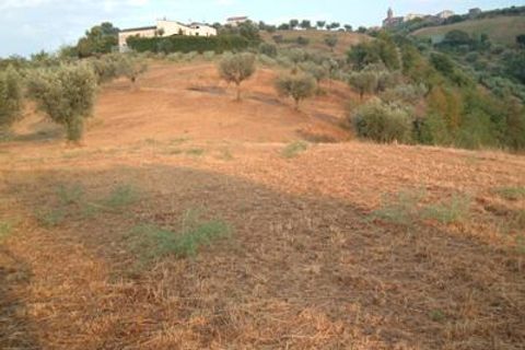 Helårsgrund i Controguerra, Teramo, Controguerra - € 65.000 | Ref: 097/T - foto 11