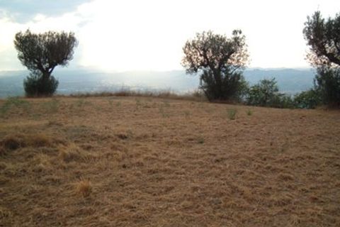 Helårsgrund i Controguerra, Teramo, Controguerra - € 65.000 | Ref: 097/T - foto 12