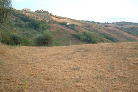 Helårsgrund i Controguerra, Teramo, Controguerra - € 65.000 | Ref: 097/T - foto 15