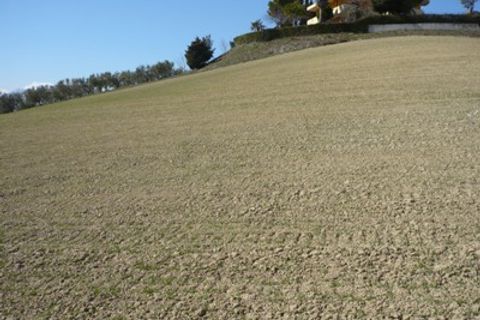 Helårsgrund i Colonnella, Teramo, Colonnella - € 180.000 | Ref: 0577/TE - foto 4