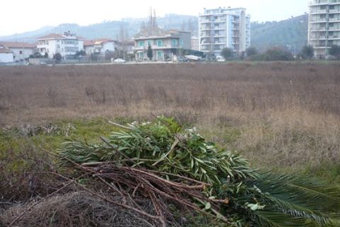 Helårsgrund i Alba Adriatica, Teramo, Alba Adriatica - € 400.000 | Ref: 0126/TE - foto 4