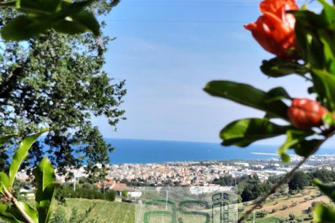 Villa a Tortoreto, Teramo, Tortoreto - € 320.000 | Ref: 033/CS - foto 33