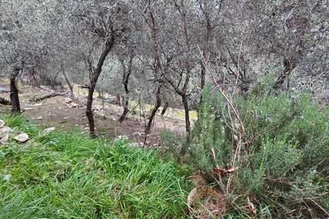 Villa i Chiavari, Genoa, Chiavari - € 210.000 | Ref: AV2 - foto 28