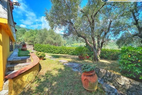 Villa i Pietrasanta, Lucca, Pietrasanta - € 760.000 | Ref: fdm434 - foto 4