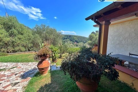 Villa i Pietrasanta, Lucca, Pietrasanta - € 760.000 | Ref: fdm434 - foto 5