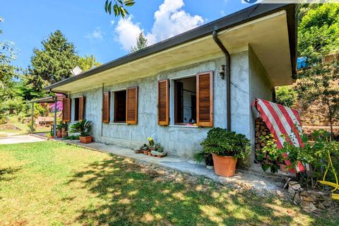 Villa i Pietrasanta, Lucca, Pietrasanta - € 420.000 | Ref: fdm438 - foto 2