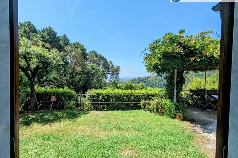 Villa i Pietrasanta, Lucca, Pietrasanta - € 420.000 | Ref: fdm438 - foto 19
