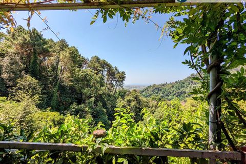 Villa i Pietrasanta, Lucca, Pietrasanta - € 420.000 | Ref: fdm438 - foto 26