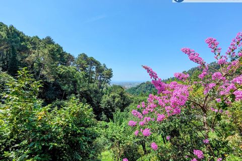 Villa i Pietrasanta, Lucca, Pietrasanta - € 420.000 | Ref: fdm438 - foto 33