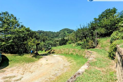 Villa i Pietrasanta, Lucca, Pietrasanta - € 420.000 | Ref: fdm438 - foto 34