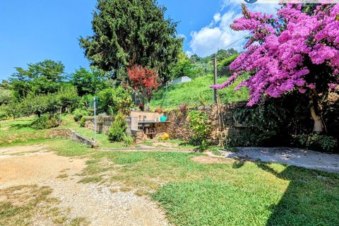 Villa i Pietrasanta, Lucca, Pietrasanta - € 420.000 | Ref: fdm438 - foto 36