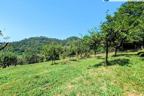 Villa i Pietrasanta, Lucca, Pietrasanta - € 420.000 | Ref: fdm438 - foto 37