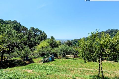 Villa i Pietrasanta, Lucca, Pietrasanta - € 420.000 | Ref: fdm438 - foto 38