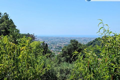Villa i Pietrasanta, Lucca, Pietrasanta - € 420.000 | Ref: fdm438 - foto 39