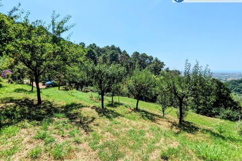 Villa i Pietrasanta, Lucca, Pietrasanta - € 420.000 | Ref: fdm438 - foto 40