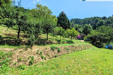 Villa i Pietrasanta, Lucca, Pietrasanta - € 420.000 | Ref: fdm438 - foto 41