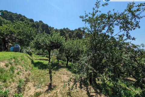 Villa i Pietrasanta, Lucca, Pietrasanta - € 420.000 | Ref: fdm438 - foto 42
