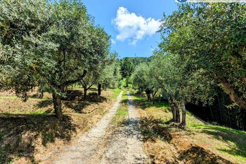 Villa i Pietrasanta, Lucca, Pietrasanta - € 420.000 | Ref: fdm438 - foto 43