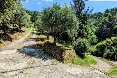 Villa i Pietrasanta, Lucca, Pietrasanta - € 420.000 | Ref: fdm438 - foto 44