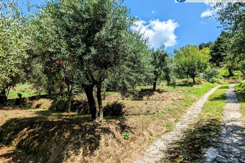 Villa i Pietrasanta, Lucca, Pietrasanta - € 420.000 | Ref: fdm438 - foto 45