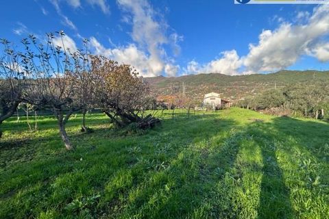 Villa i Pietrasanta, Lucca, Pietrasanta - € 985.000 | Ref: fdm441 - foto 30
