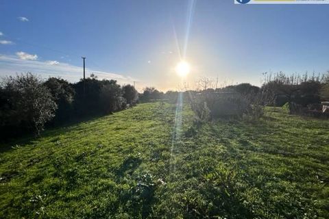 Villa i Pietrasanta, Lucca, Pietrasanta - € 985.000 | Ref: fdm441 - foto 31