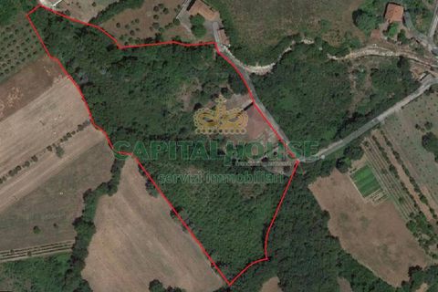 Villa a Rocca d'Evandro, Caserta, Rocca d'Evandro - € 200.000 | Ref: 200RD - foto 16