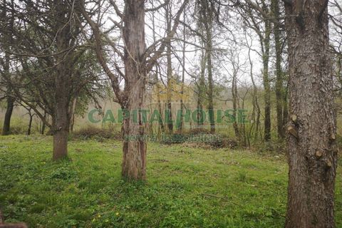 Villa a Rocca d'Evandro, Caserta, Rocca d'Evandro - € 200.000 | Ref: 200RD - foto 24