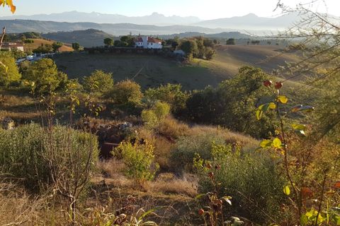 Villa i Monteprandone, Ascoli Piceno, Monteprandone - € 800.000 | Ref: 1188 - foto 29