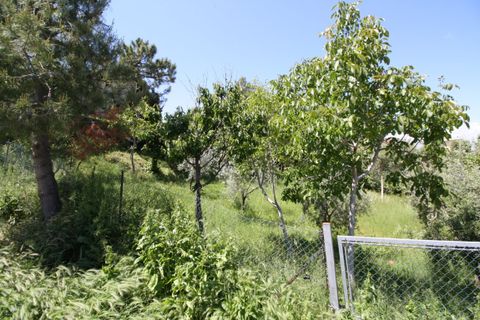 Helårsgrund i Monteprandone, Ascoli Piceno, Monteprandone - € 130.000 | Ref: 1400 - foto 2