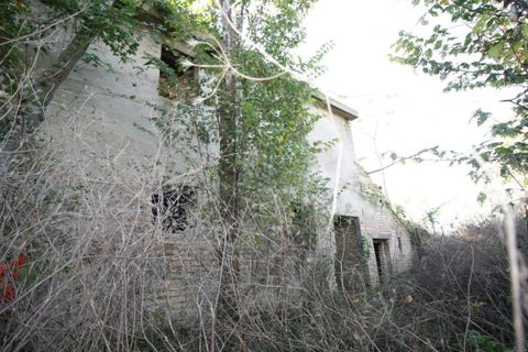 Terra a Ripatransone, Ascoli Piceno, Ripatransone - € 195.000 | Ref: 1577 - foto 4