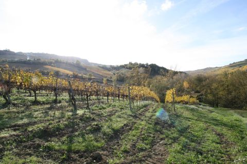 Terra a Ripatransone, Ascoli Piceno, Ripatransone - € 195.000 | Ref: 1577 - foto 9