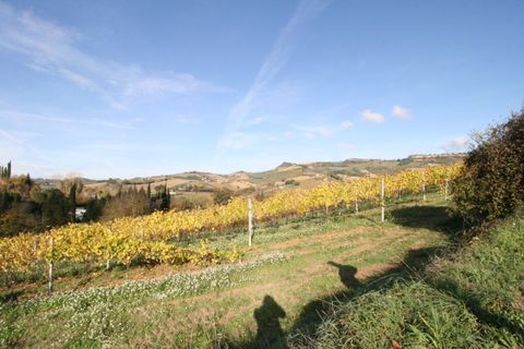 Terra a Ripatransone, Ascoli Piceno, Ripatransone - € 195.000 | Ref: 1577 - foto 11
