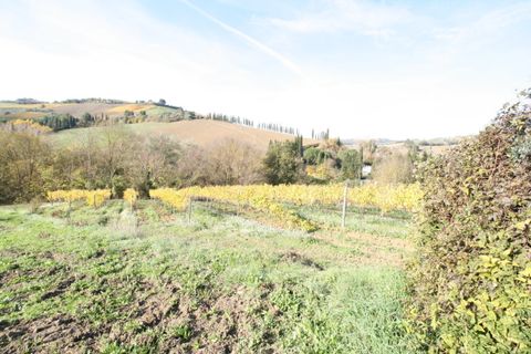 Terra a Ripatransone, Ascoli Piceno, Ripatransone - € 195.000 | Ref: 1577 - foto 15