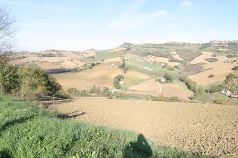 Terra a Ripatransone, Ascoli Piceno, Ripatransone - € 195.000 | Ref: 1577 - foto 16
